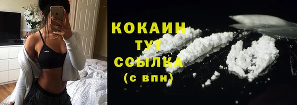 амф Бородино