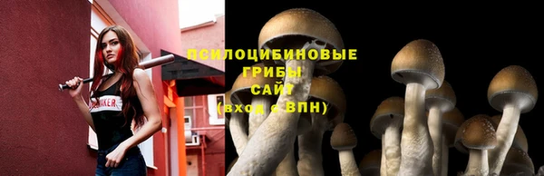 кристаллы Покровск