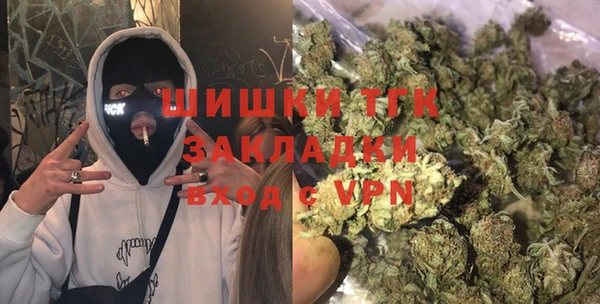 амф Бородино