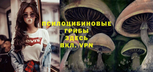 круглые Верхний Тагил