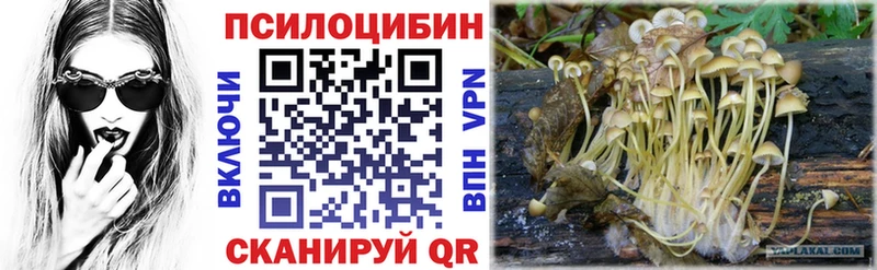 Купить  Александровское  Псилоцибиновые грибы Magic Shrooms 