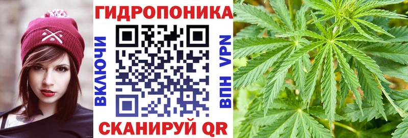 Купить  Александровское  Канабис MAZAR 